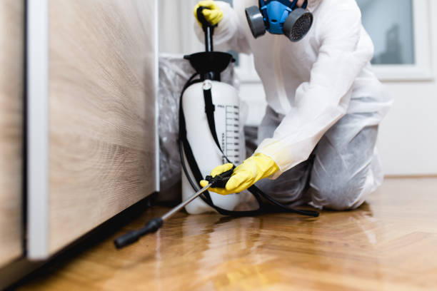 Best Pest Prevention Services  in Bamberg, SC