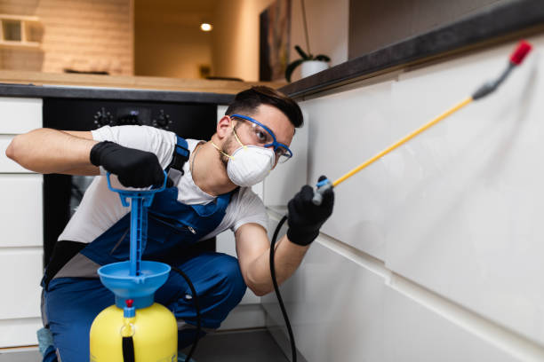 Best Mosquito Control Services  in Bamberg, SC
