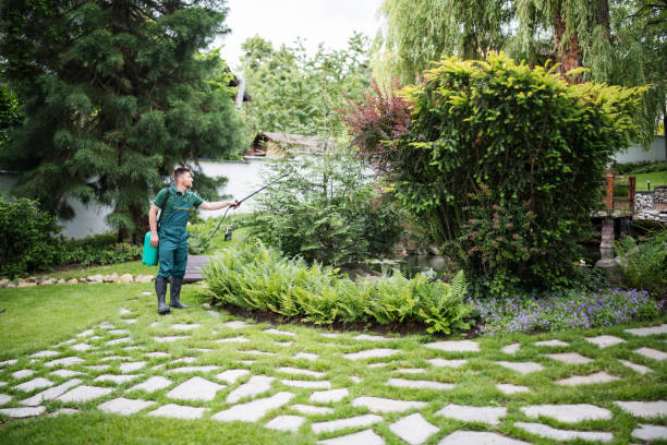 Best Residential Pest Control  in Bamberg, SC