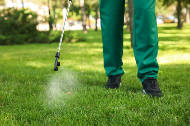 Best Affordable Pest Control Services  in Bamberg, SC