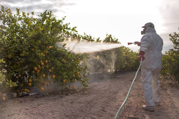 Best Pest Removal Services  in Bamberg, SC