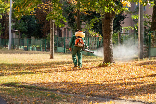 Best Wildlife Control Services  in Bamberg, SC