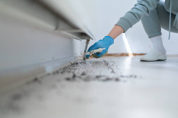 Best Best Pest Control Companies  in Bamberg, SC