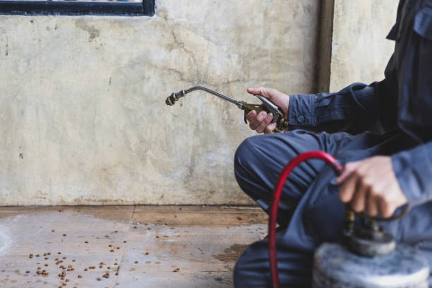 Best Local Pest Control Services  in Bamberg, SC