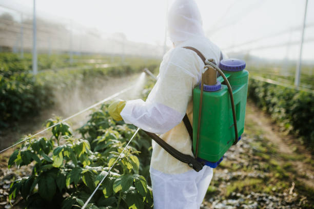 Best Cockroach Control Services  in Bamberg, SC